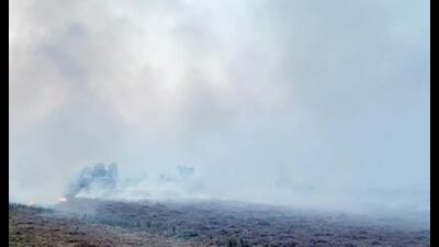 More cases of stubble burning take the total number such cases in Haryana to 739 this paddy harvesting season. (ANI file)
