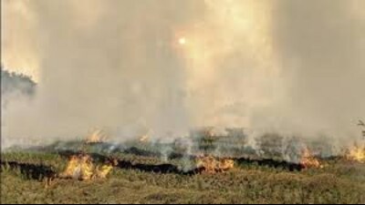 Paddy straw burning in Punjab and Haryana is one of the reasons behind alarming spike in air pollution in the national capital in October and November.