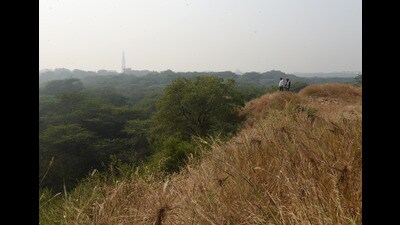 The cabinet has approved the relocation of 16 families living within the Saragodu reserved forest in Chikkamagaluru district’s Mudigere taluk to provide safer living conditions and reduce conflicts with wildlife (File photo) The cabinet has approved the relocation of 16 families living within the Saragodu reserved forest in Chikkamagaluru district’s Mudigere taluk to provide safer living conditions and reduce conflicts with wildlife (File photo)