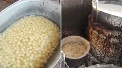 Hundreds of dead flies were seen floating in rasgullas being made for Diwali in East Delhi. (X/@SachinGuptaUP) Hundreds of dead flies were seen floating in rasgullas being made for Diwali in East Delhi. (X/@SachinGuptaUP)