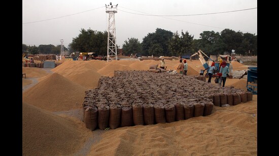The total paddy purchase in Punjab till October 28 amounts to ₹14,066 crore and it has benefitted 3,51,906 farmers, the Centre has claimed. (SANJEEV KUMAR/HT)
