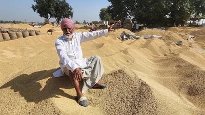 A farmer showing the paddy glut at the Bathinda grain market earlier this week. Paddy lifting from grain markets in Punjab has been hit after the state rice-millers refused to mill the paddy till their demands are met. (Sanjeev Kumar/HT) A farmer showing the paddy glut at the Bathinda grain market earlier this week. Paddy lifting from grain markets in Punjab has been hit after the state rice-millers refused to mill the paddy till their demands are met. (Sanjeev Kumar/HT)