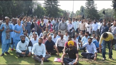 Demanding release of the arrears and an annual bonus, as provided to regular workers, the outsourced workers staged a protest outside the administrative Kairon Block on Wednesday. (HT photo) Demanding release of the arrears and an annual bonus, as provided to regular workers, the outsourced workers staged a protest outside the administrative Kairon Block on Wednesday. (HT photo)