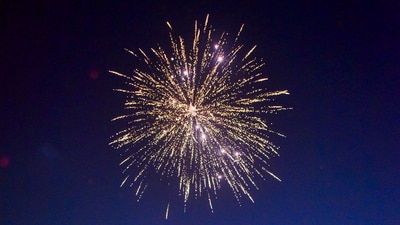 Diwali 2024: Know whether Diwali is on October 31 or November 1. (PTI) Diwali 2024: Know whether Diwali is on October 31 or November 1. (PTI)