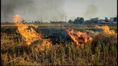 The district police are working alongside the civil administration to curb this seasonal crisis. (HT File) The district police are working alongside the civil administration to curb this seasonal crisis. (HT File)