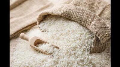 The teams from Indian Institute of technology (IIT) Kharagpur on Wednesday started conducting tests to examine out turn ratio (OTR) in freshly shelled paddy at a rice mill in Chapwail village near Raikot in Ludhiana district. (HT File) The teams from Indian Institute of technology (IIT) Kharagpur on Wednesday started conducting tests to examine out turn ratio (OTR) in freshly shelled paddy at a rice mill in Chapwail village near Raikot in Ludhiana district. (HT File)