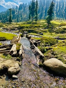Kashmir's Dubjan on travellers' 'must visit' list for hot spring bath that cures joint pain, dry skin (Twitter/wakashmir)
