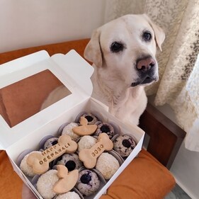 Nayani Tandon, owner of Puppychino bakery, shares, “There’s a huge demand for festive treats that let pets be part of the celebration. Pet parents want to give their dogs something that reflects the festival but is also completely safe.” Nayani Tandon, owner of Puppychino bakery, shares, “There’s a huge demand for festive treats that let pets be part of the celebration. Pet parents want to give their dogs something that reflects the festival but is also completely safe.”