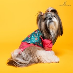 “The important thing is to ensure the utmost comfort with style, keeping in mind the various breeds and sizes,” Bhanushali and Jain explain, adding, “Customisation is key for a comfortable fit. Using human-grade, breathable fabrics with 100% cotton lining ensures that pets can move freely without any irritation.” “The important thing is to ensure the utmost comfort with style, keeping in mind the various breeds and sizes,” Bhanushali and Jain explain, adding, “Customisation is key for a comfortable fit. Using human-grade, breathable fabrics with 100% cotton lining ensures that pets can move freely without any irritation.”