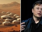 Do you think Elon Musk has become "politically active" to fulfil his goal of reaching Mars? 