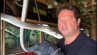 South African YouTuber Dinkleman succumbs to injuries from green mamba bite (Instagram/Dingo' Dinkleman) South African YouTuber Dinkleman succumbs to injuries from green mamba bite (Instagram/Dingo' Dinkleman)