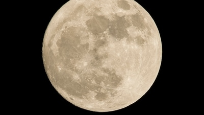Read about the New Moon November 2024 effect on zodiac signs. (Unsplash) Read about the New Moon November 2024 effect on zodiac signs. (Unsplash)