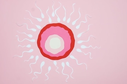 Unexplained infertility most likely involves issues with poor egg or sperm quality, or problems with the uterus or fallopian tubes that aren't identifiable during normal fertility testing (Pexels) Unexplained infertility most likely involves issues with poor egg or sperm quality, or problems with the uterus or fallopian tubes that aren't identifiable during normal fertility testing (Pexels)