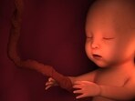 The Bombay high court on Thursday allowed a 11-year-old rape survivor to terminate her 30-week pregnancy.