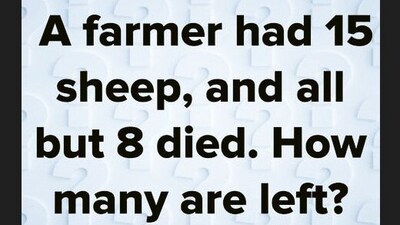 A brain teaser about sheep stumped users on X. (X/@Brainy_Bits_Hub) A brain teaser about sheep stumped users on X. (X/@Brainy_Bits_Hub)