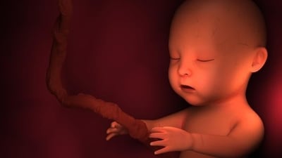The Bombay high court on Thursday allowed a 11-year-old rape survivor to terminate her 30-week pregnancy. (Shutterstock photo) The Bombay high court on Thursday allowed a 11-year-old rape survivor to terminate her 30-week pregnancy. (Shutterstock photo)