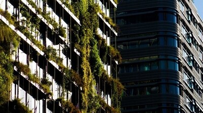 Planting small trees on roofs of buildings in dense areas can reduce floods in big and densely populated cities, says a report. (Representational photo) (Pixabay) Planting small trees on roofs of buildings in dense areas can reduce floods in big and densely populated cities, says a report. (Representational photo) (Pixabay)