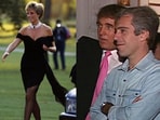 Michael Wolff has stirred controversy by alleging a competitive relationship between Jeffrey Epstein and Donald Trump over Princess Diana.