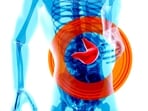 liver