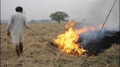 Deputy commissioner (DC) Aashika Jain stated that 36 stubble burning incidents were reported so far this year, compared to 113 last year. (HT File Photo)