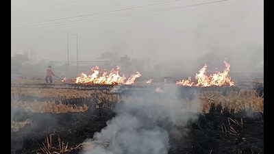 Following Supreme Court’s directions to take strict action against farmers burning stubble, Punjab Police registered 1,608 FIRs this year (till November) which is almost double of last year’s figure of 850. (ANI Photo) (ANI)