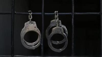 Police arrested eight more alleged peddlers of the Shahi Mahatma Gang in Theog. (File)