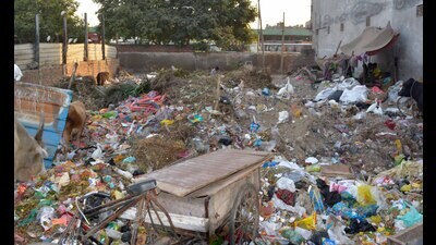 The waste dump near Ludhiana bus stand. (Manish/Hindustan Times) The waste dump near Ludhiana bus stand. (Manish/Hindustan Times)
