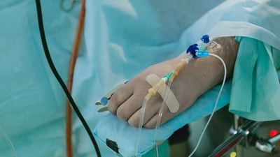 Health authorities warned about Kamini after one person was hospitalised for lead poisoning. (Representative image) (Unsplash) Health authorities warned about Kamini after one person was hospitalised for lead poisoning. (Representative image) (Unsplash)