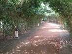 A Bamboo grove with a walkthrough canopy, three water bodies and multilayered gardens at Baansera. The upcoming Nature Interaction Centre will be similar to the Baansera theme park. (Delhi LG-X) A Bamboo grove with a walkthrough canopy, three water bodies and multilayered gardens at Baansera. The upcoming Nature Interaction Centre will be similar to the Baansera theme park. (Delhi LG-X)