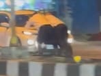 A still from a video of the incident. (HT) A still from a video of the incident. (HT)