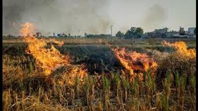 As per the Punjab Remote Sensing Centre data, 105 fire incidents have been reported in Moga district so far, out of which 87 were farm fires. (HT File) As per the Punjab Remote Sensing Centre data, 105 fire incidents have been reported in Moga district so far, out of which 87 were farm fires. (HT File)