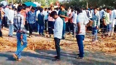 Officials said irate villagers attacked the tiger with stones and sharp objects. (HT Photo) Officials said irate villagers attacked the tiger with stones and sharp objects. (HT Photo)