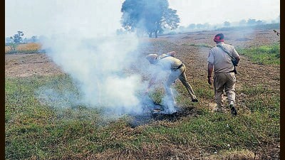 Police personnel, accompanying the Bathinda DC and SSP, rush to put out the flames after a farmer set his field on fire near Kot Bakhtu village in Bathinda on Sunday. (Sanjeev Kumar/HT) Police personnel, accompanying the Bathinda DC and SSP, rush to put out the flames after a farmer set his field on fire near Kot Bakhtu village in Bathinda on Sunday. (Sanjeev Kumar/HT)