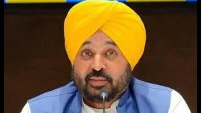 Punjab chief minister Bhagwant Mann. (HT File)