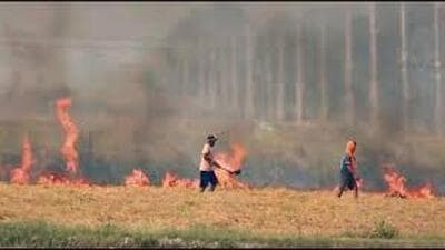 Some farmers claimed that using super-seeders had resulted in pest attacks on their fields last year. (HT File.)