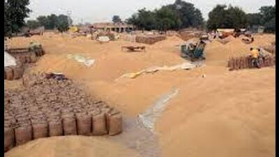 The procurement drive, which began on October 1, has already resulted in payments worth ₹19,800 crore reaching about 4 lakh farmers across the state. (HT File) The procurement drive, which began on October 1, has already resulted in payments worth ₹19,800 crore reaching about 4 lakh farmers across the state. (HT File)
