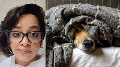 A Delhi pet owner shared her dog's distress during Diwali fireworks, sparking online debate. (X/@therealnaomib) A Delhi pet owner shared her dog's distress during Diwali fireworks, sparking online debate. (X/@therealnaomib)
