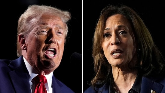 Republican presidential nominee former President Donald Trump and Democratic presidential nominee Vice President Kamala Harris (AP)