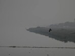 Smog engulfs the Yamuna. (RAJ K RAJ /HT PHOTO) Smog engulfs the Yamuna. (RAJ K RAJ /HT PHOTO)
