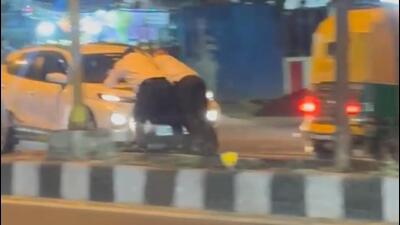 A still from a video of the incident. (HT Photo) A still from a video of the incident. (HT Photo)