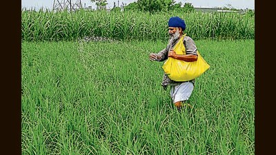 DC assures farmers that remaining stock of fertiliser is expected to arrive within the next few days. (AFP File)