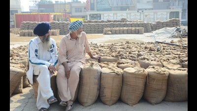 District mandi officer Gurmatpal Singh said, “We have made temporary washrooms at the grain market on Gill road and will provide water and other basic facilities. Now, lifting is also being done properly.” (Gurpreet Singh/Hindustan Times)