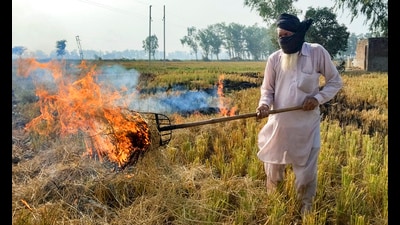 The Supreme Court on Monday asked the Punjab and Haryana governments to file their responses by November 14 on the rise in farm fires and stubble burning incidents during the last 10 days in October. (PTI) The Supreme Court on Monday asked the Punjab and Haryana governments to file their responses by November 14 on the rise in farm fires and stubble burning incidents during the last 10 days in October. (PTI)