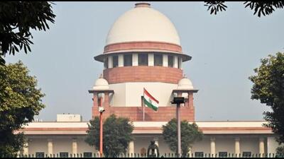 The court directed the Delhi government and the police commissioner to file separate responses. (ANI) The court directed the Delhi government and the police commissioner to file separate responses. (ANI)