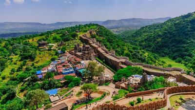 The reserve is proposed to span around 1,397 square kilometres across Rajsamand, Udaipur, Pali, Ajmer, and Sirohi districts. (Shutterstock/Representative)