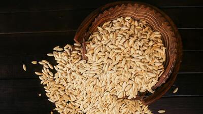 These seeds can be procured by central/state public sector units and other bodies for further dissemination across the country. (Shutterstock)