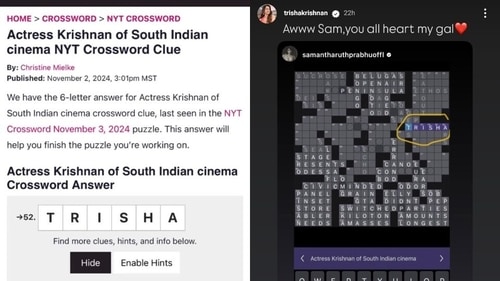 Screengrabs of Trisha's Instagram stories. Screengrabs of Trisha's Instagram stories.