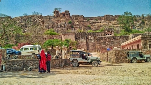 Ranthambore is also cited as a heritage site because of the descriptive ruins of the fort within the park. (Pinterest) Ranthambore is also cited as a heritage site because of the descriptive ruins of the fort within the park. (Pinterest)