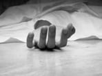 Police in Jabalpur solved a murder case with the help of some persistent flies (Representational image) Police in Jabalpur solved a murder case with the help of some persistent flies (Representational image)