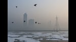New Delhi, Nov 05 (ANI): Toxic foam seen floating on the Yamuna River, as pollution level in the river continues to remain high in New Delhi on Tuesday. (ANI Photo) (Vipin Kumar)